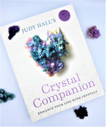 Load image into Gallery viewer, Judy Halls Crystal Companion
